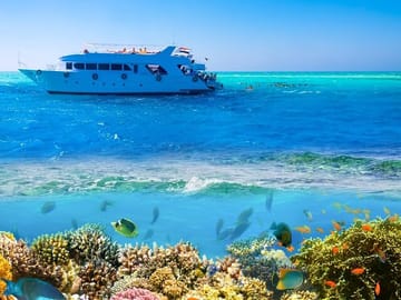 Ras Mohamed and White Island Snorkeling Tour from Sharm El Sheikh