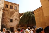 Saint Catherine &amp; Mount Moses by Bus W/Breakfast -Sharm El Sheikh