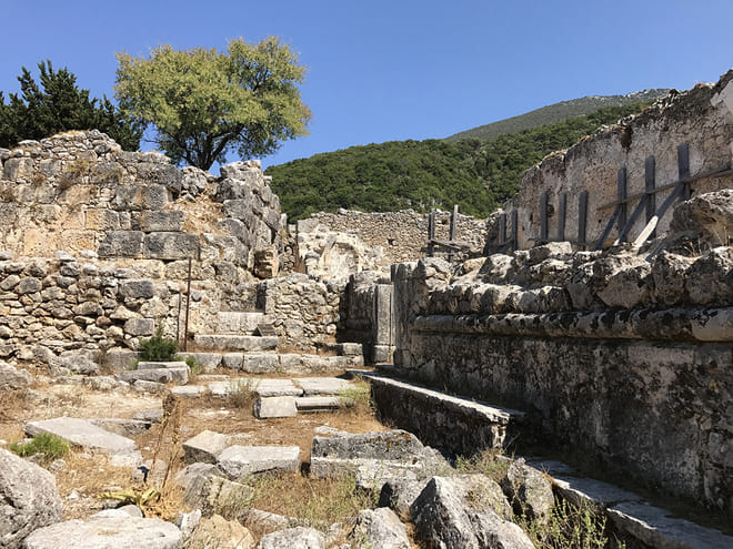 The Contrasts of the Kefalonia Nature photo 4