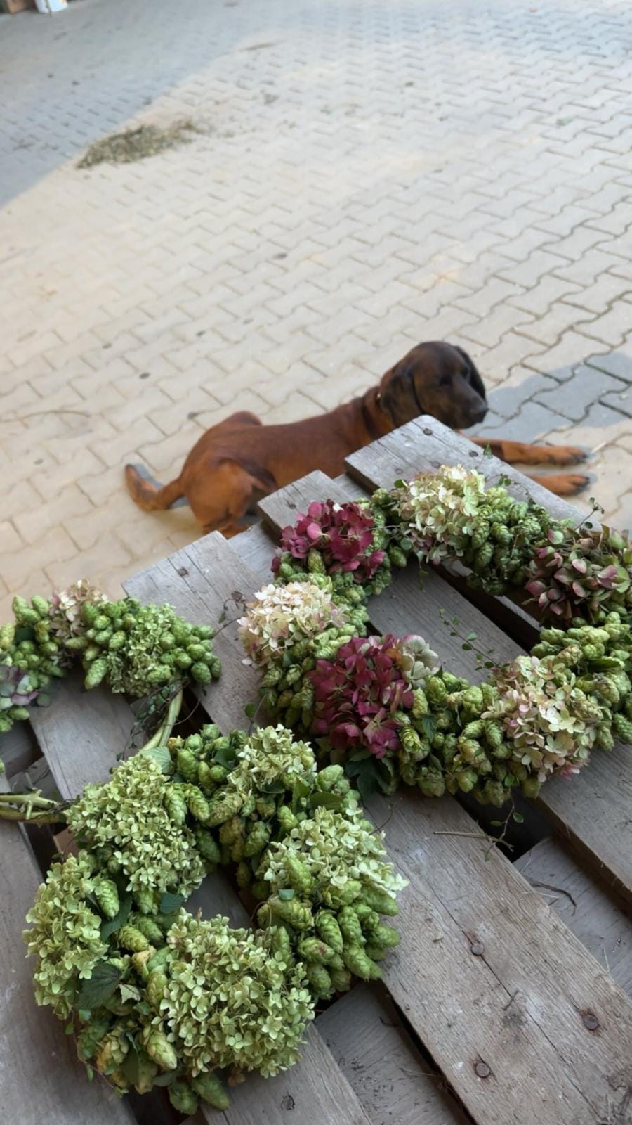 Various hop wreaths