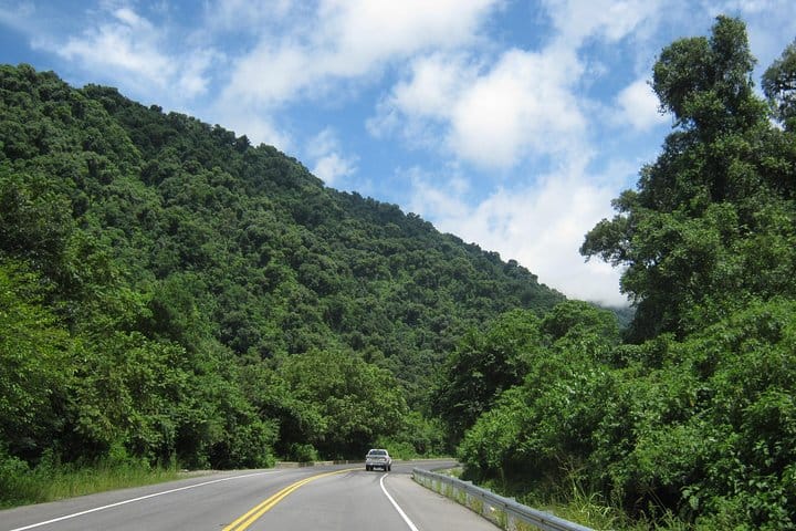 Tafí del Valle - Yunga