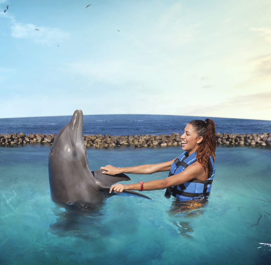 Dolphin Royal Swim in Dolphin Cove Ocho Rios  9