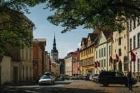 Tallinn A Private Walking Tour With Local Guide 4