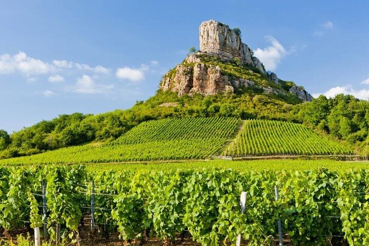 A white mountainous outcrop seen from a vineyard, on a beautiful sunny day.