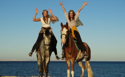 Premium 2 Hours Horse Riding, Desert Trail & Sea Beach – Hurghada