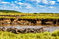 3 Days PRIVATE LUXURY SAFARI to Masai Mara from Nairobi 7