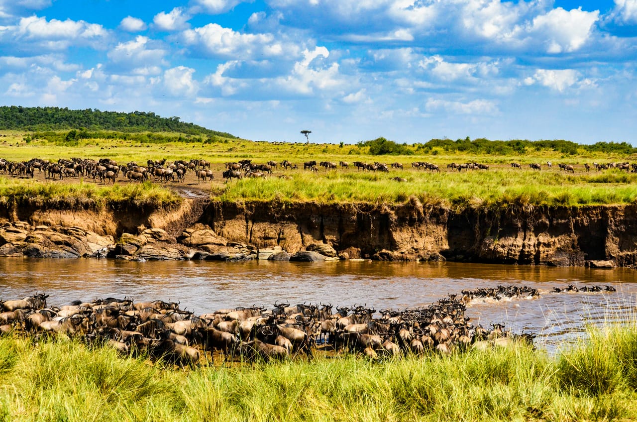 3 Days PRIVATE LUXURY SAFARI to Masai Mara from Nairobi 7