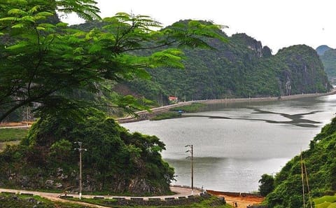 Full-Day Tour of Cat Ba Island from Hạ Long Bay
