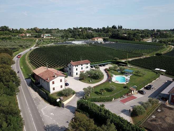 Wine and Food Tasting in the Vineyards photo 2