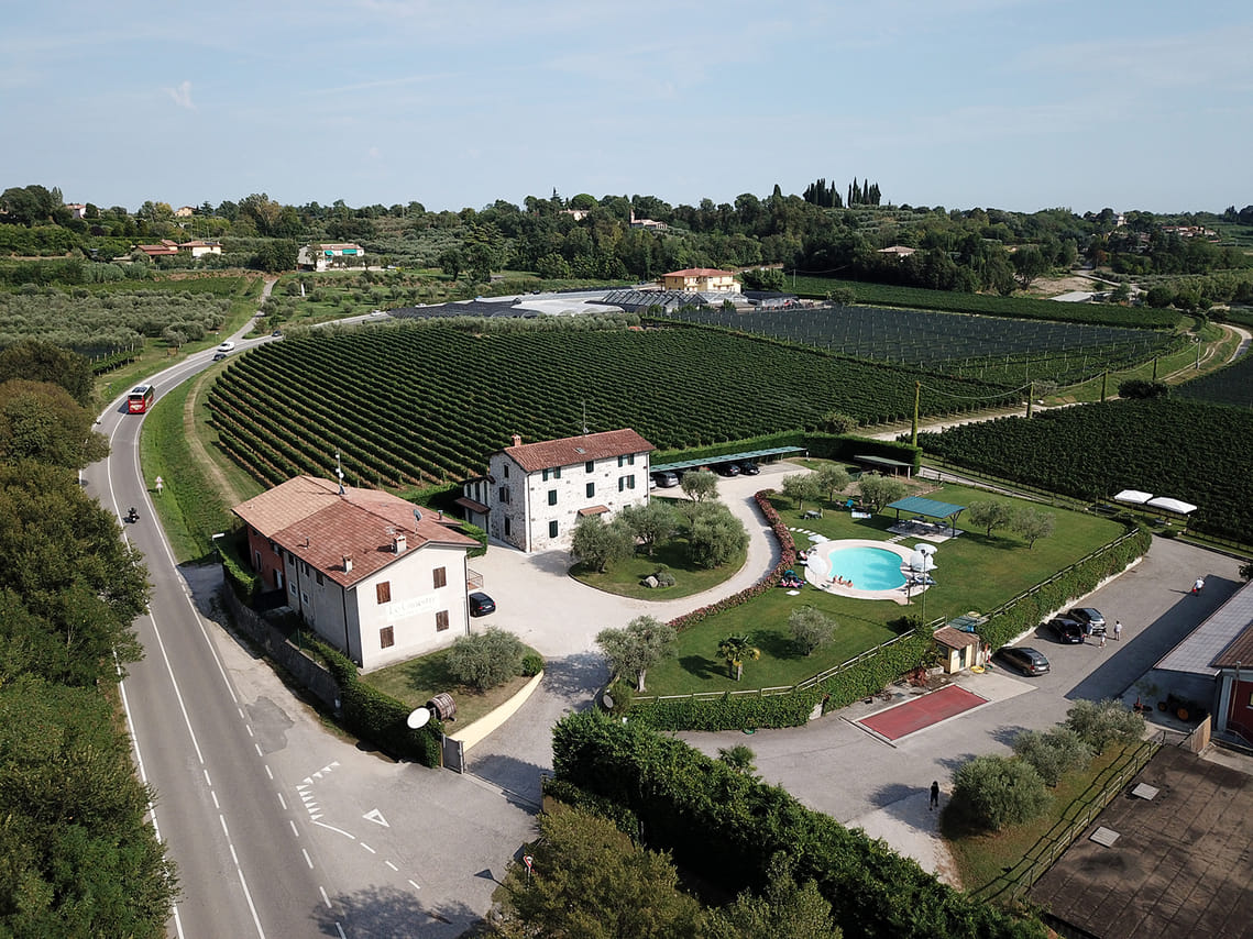 Wine and Food Tasting in the Vineyards 2