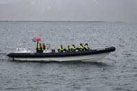 RIB Express 2