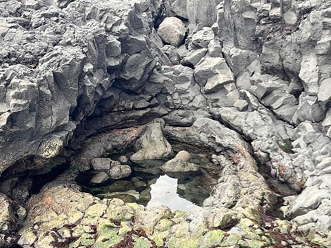 Reykjanes Peninsula Private Tour: Geothermal Areas, Volcanoes, Cliffs & Bridge Between Continents | Complimentary KEF Airport Pickup or Drop, photo 25