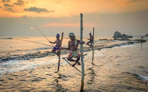 Private Day Tour : Handungoda and Galle from Colombo