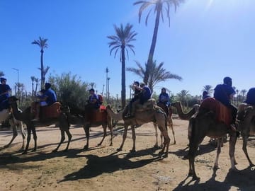 Camel Ride Through Marrakech's Scenic Palm Groves