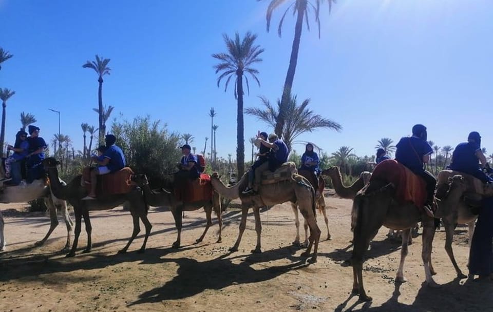 1 Hour Camel Ride in the palm groves of Marrakech