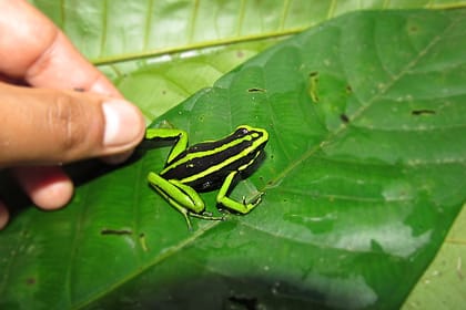Tar-02 : Jungle Paradise – Carpishuyacu Waterfall & San Jose Thermal Baths