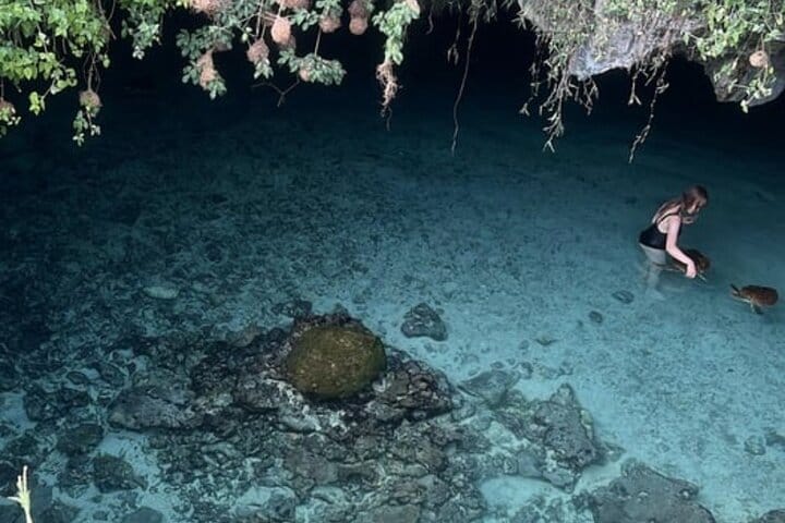 Swimming with Horses Experience on the Beach in Zanzibar