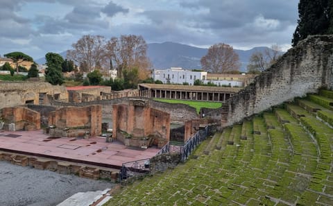 High-Speed Train Tour of Pompeii and Naples from Rome