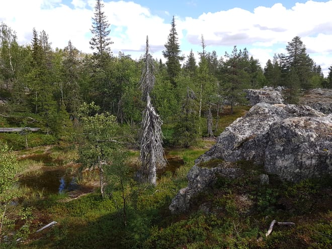Hike Across the Devil’s Gorge photo 4