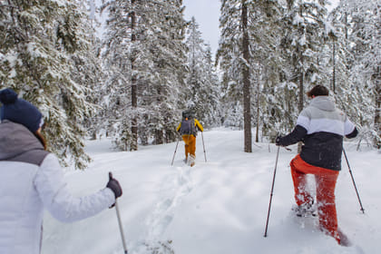 Snowshoe tour in winter wonderland