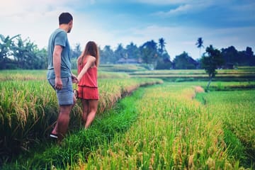 Private Kintamani and Tampaksiring Village Tour in Bali
