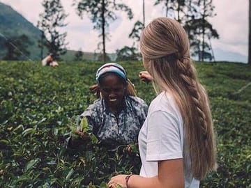 Kandy & Nuwara Eliya | 2 Days Tour