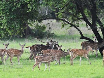 Three-Day Adventure Tour of Knuckles and Wasgamuwa from Colombo