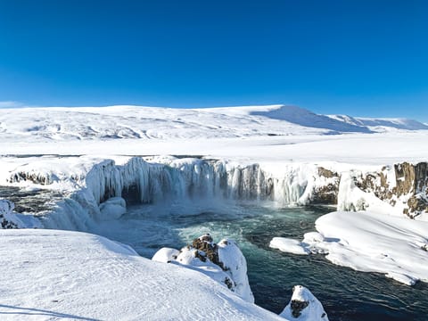 Dog Sledding and Goðafoss experience from Akureyri, photo 4