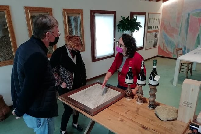 Wine tour & tasting - Prosecco Experience photo 3