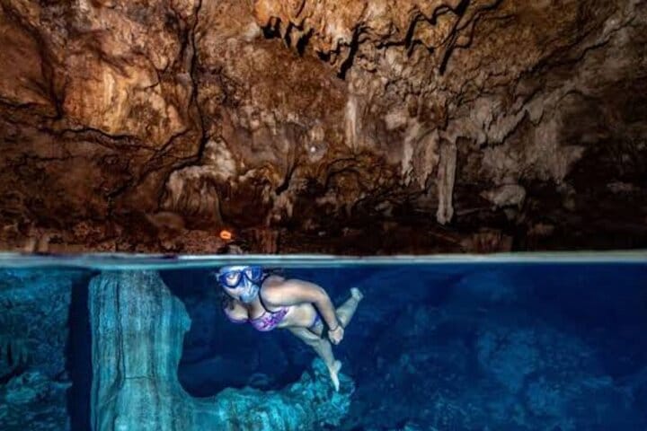 Zanzibar Jozani Forest Reserve Guided Half-Day Tour