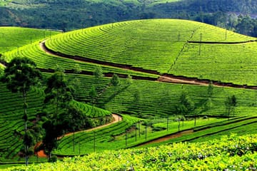 Mai Chau Valley Adventure Day Tour in Hoa Binh, Vietnam