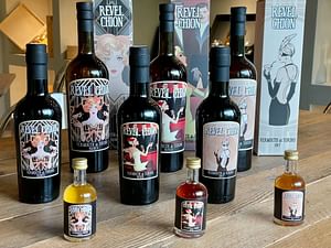 Vermouth & Spirits Distillery Visit & Tasting near Turin