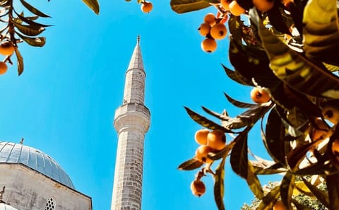 Private 2-Hour Walking Tour of Mostar's Historic Landmarks