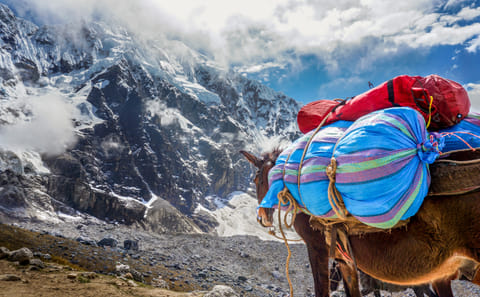 Salkantay Trek: Five-Day Hike to Machu Picchu from Cusco