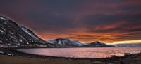 Westfjords Winterbreak 4