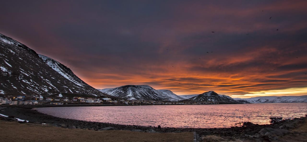 Westfjords Winterbreak 4