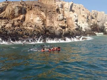 Sea Lion Swimming Tour at Palomino Islands, Callao