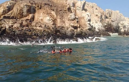 Sea Lion Swimming Tour at Palomino Islands, Callao