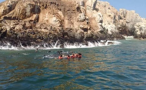 Sea Lion Swimming Tour at Palomino Islands, Callao