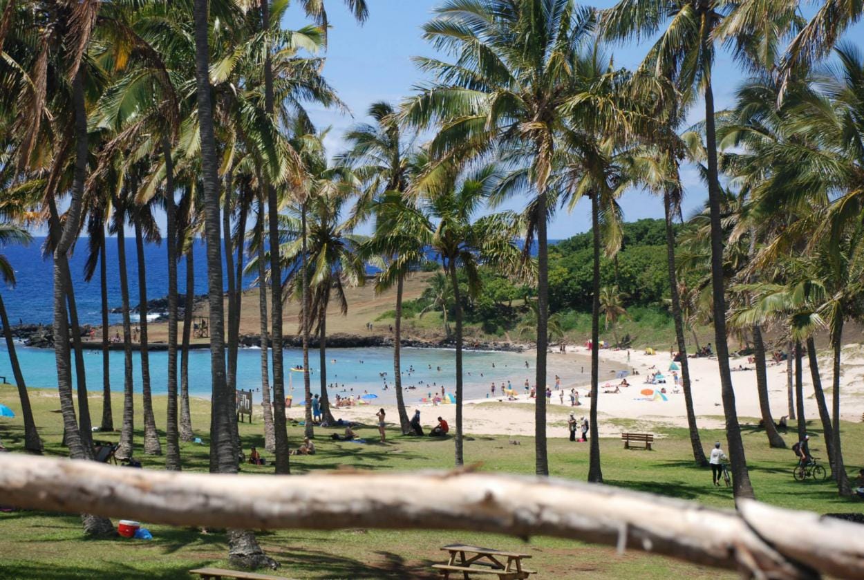 In Transit Tahiti: Full Day Private Tour  6