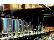 Organic Winery Visit near Turin with Wine & Food Tasting 8