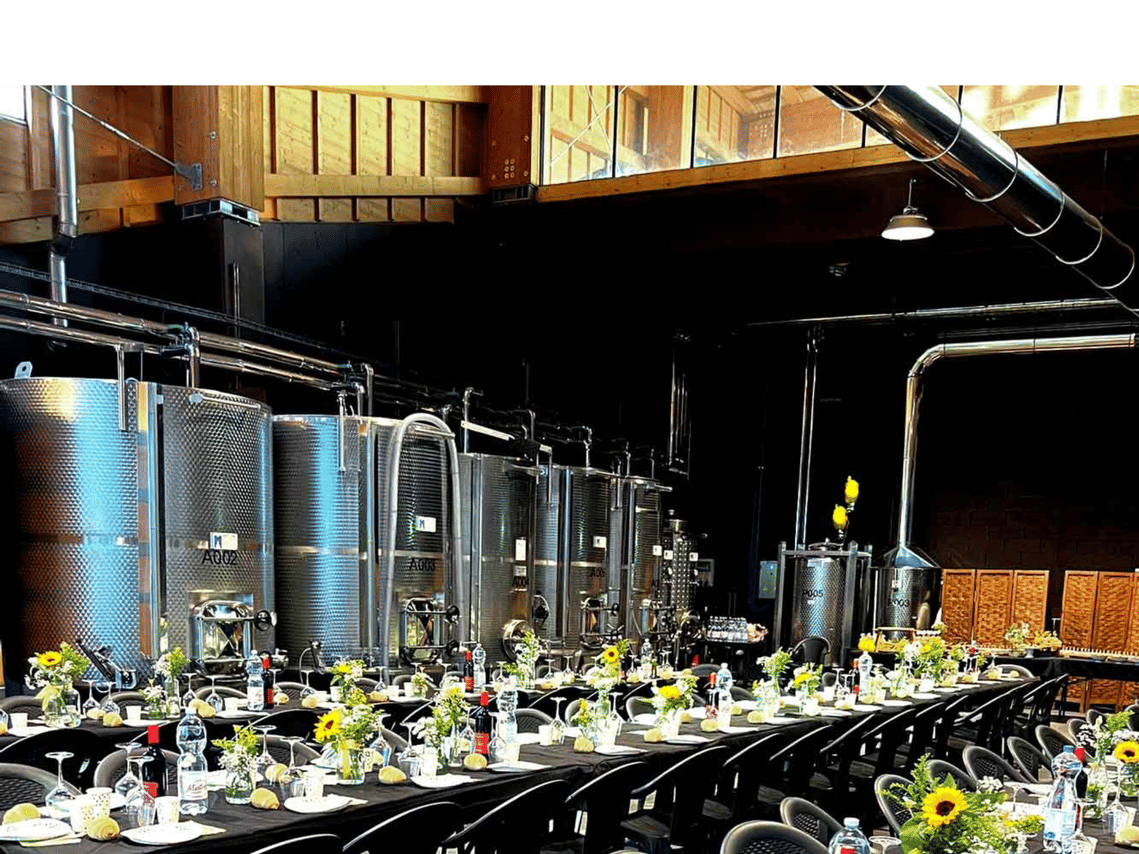 Organic Winery Visit near Turin with Wine & Food Tasting 8