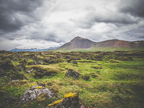 Vivid greens of lush vegetation and moss on the Snæfellsnes Peninsula