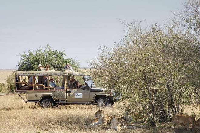 Game Drive