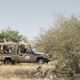 Game Drive