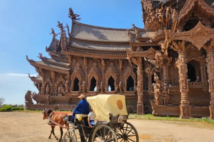 Day Tour from Bangkok to Pattaya & nong nooch & IG forest cafe