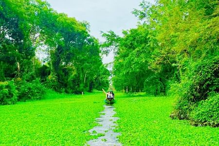 Authentic Mekong Delta Experiences: Biking, Floating Markets & Nature
