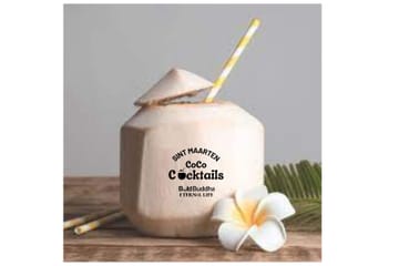 Cocktail Mixology and Beach Relaxation in Philipsburg