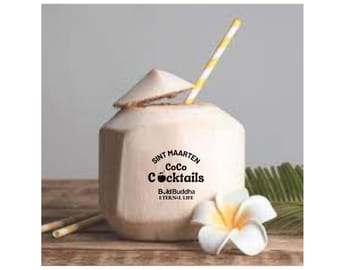 Culinary and Cocktail Workshop in Philipsburg, Sint Maarten