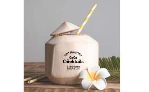 Culinary and Cocktail Workshop in Philipsburg, Sint Maarten
